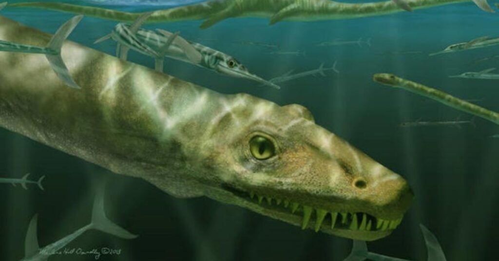 Discovering a Real-Life Chinese Dragon The 240-Million-Year-Old Sea Creature